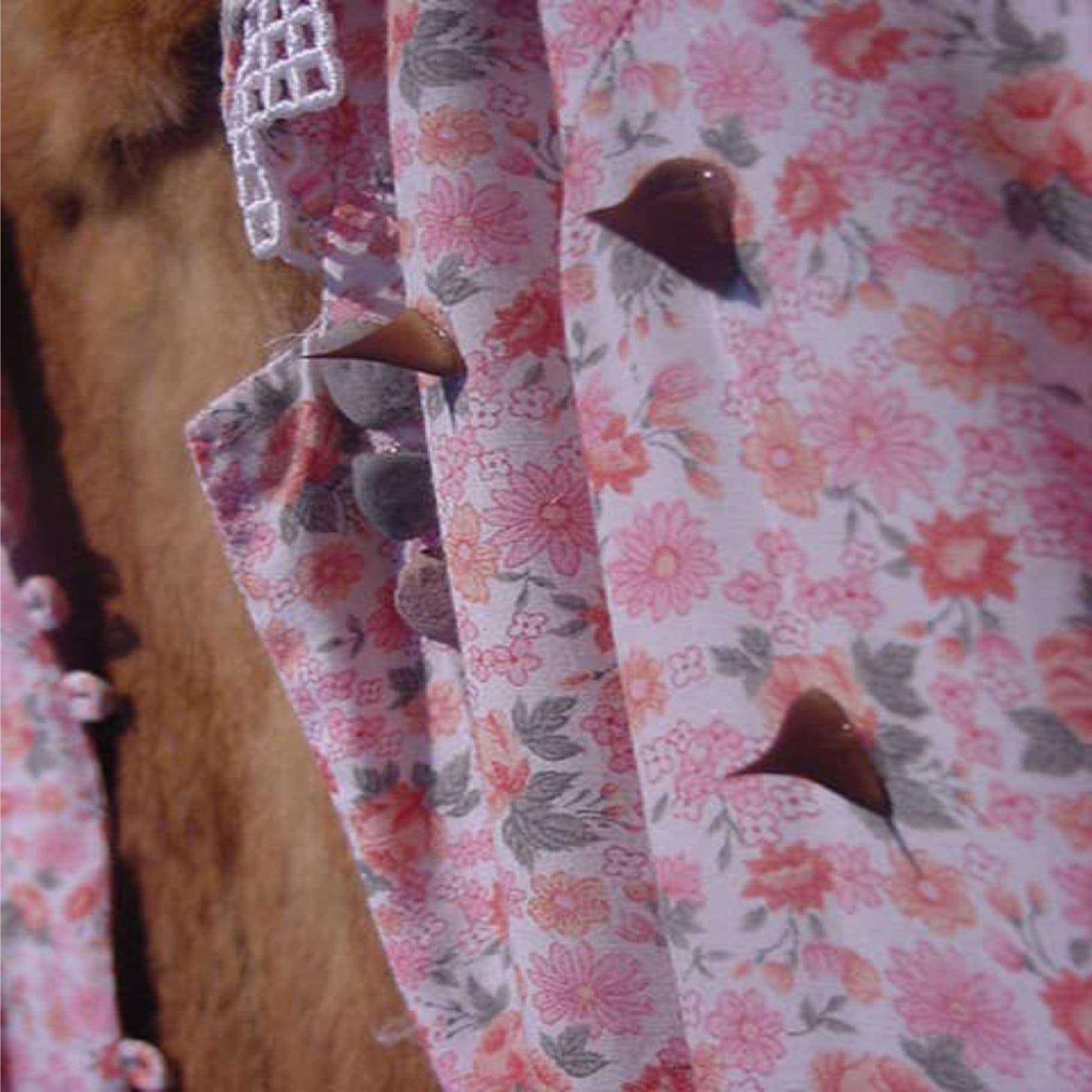 Anecdotario Ancestral